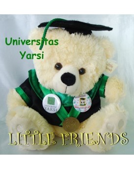 Boneka Wisuda Universitas Yarsi - Dokter (30 cm)
